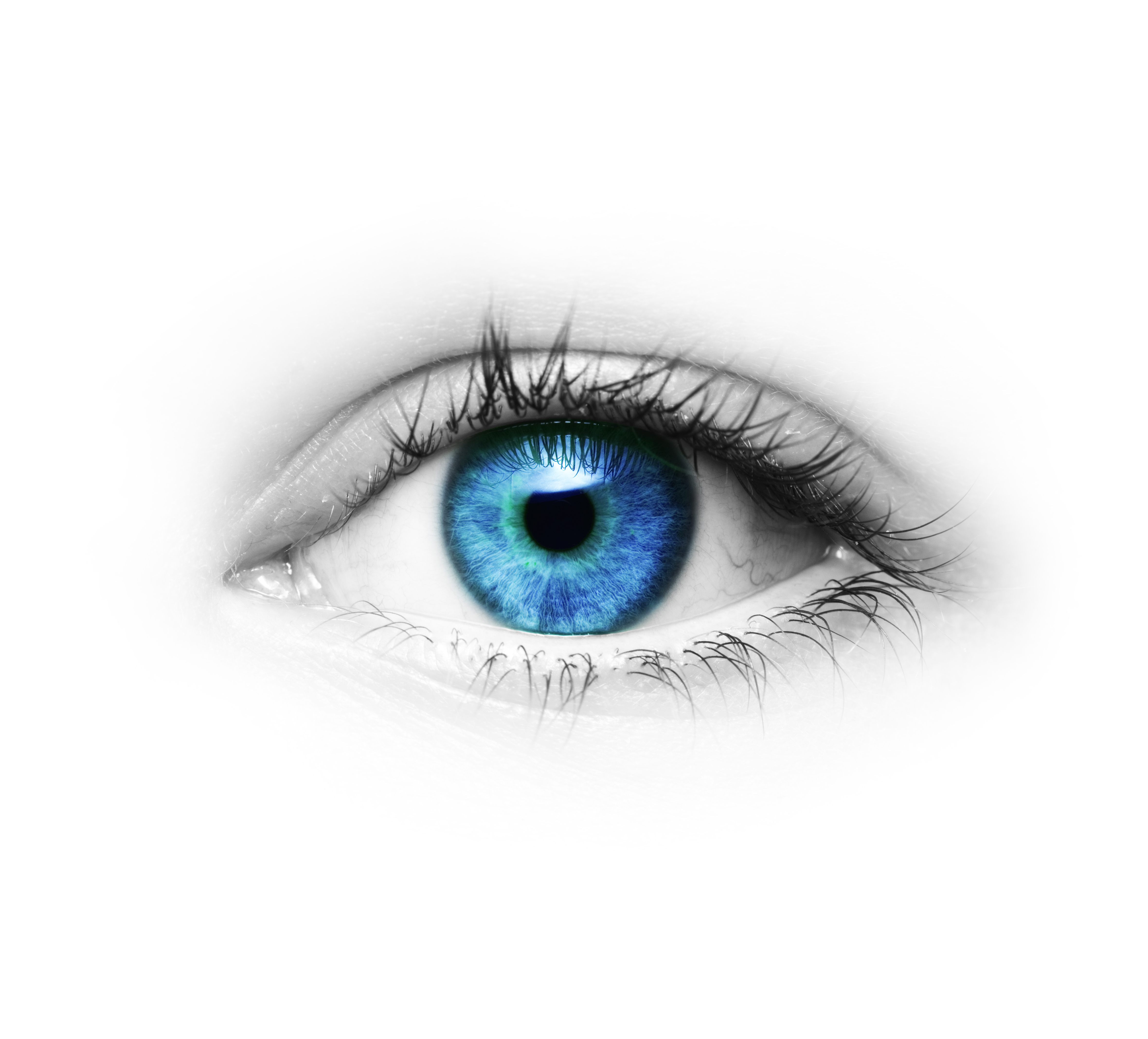 Team Dres. Aryus Auge
